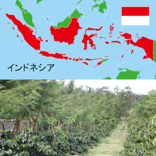 イメージ画像3